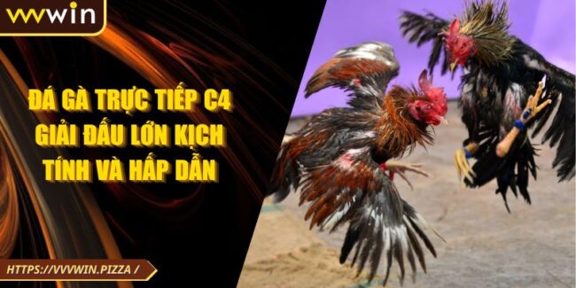 Đá Gà Trực Tiếp C4 Giải Đấu Lớn Kịch Tính Và Hấp Dẫn